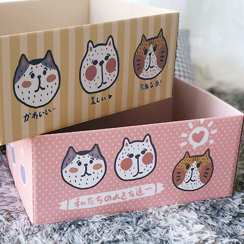 Cat box