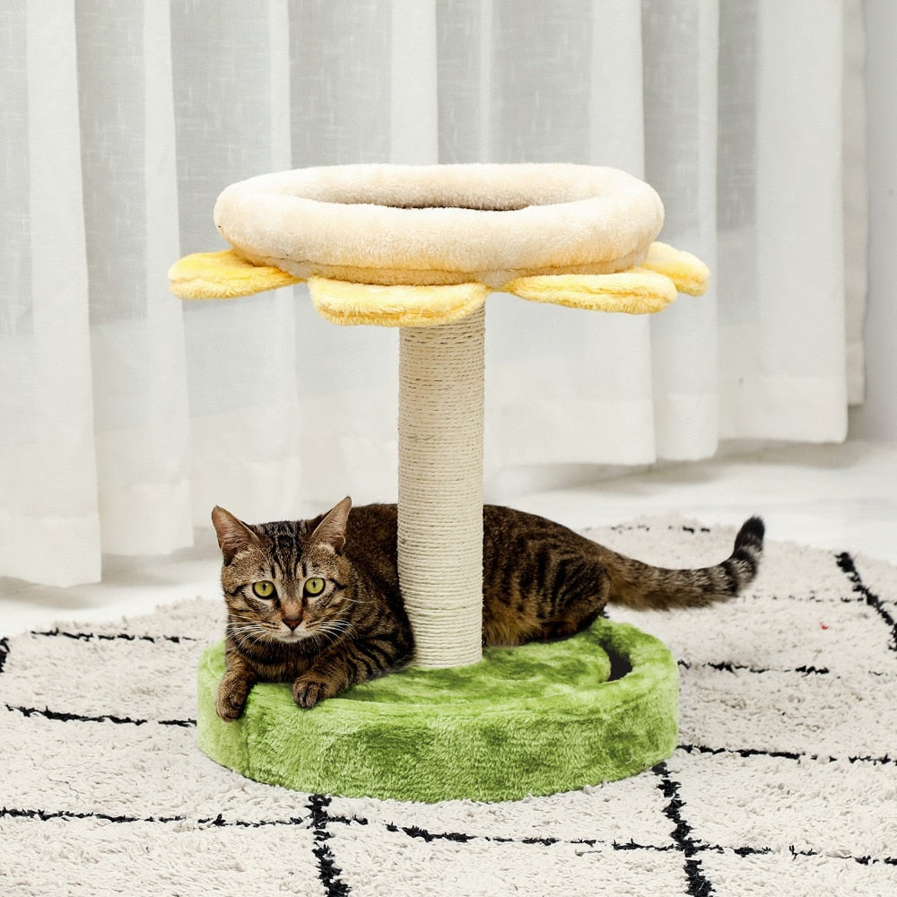 Blossom cat tree